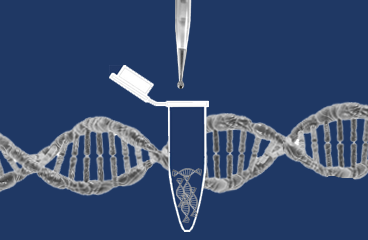 MOLECULAR BIOLOGY